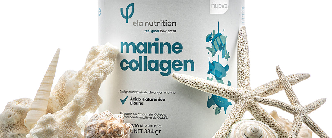 ¿Qué es el colágeno marino?